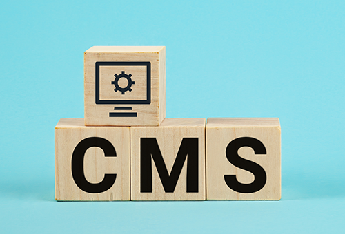 【初心者向け】CMSについて完全解説 メリットや種類・特徴、活用法などがわかる！