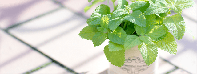 士業がホームページで「最初」に伝えなければいけないこととは? 依頼者の心理を考える