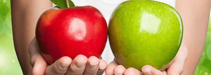 2つの検索サービスの利用方法と機能を比較