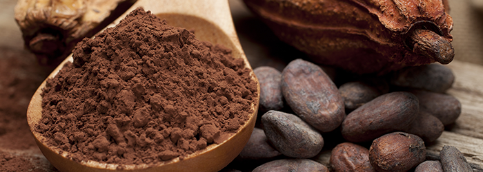 品質の高さを直球でアピール