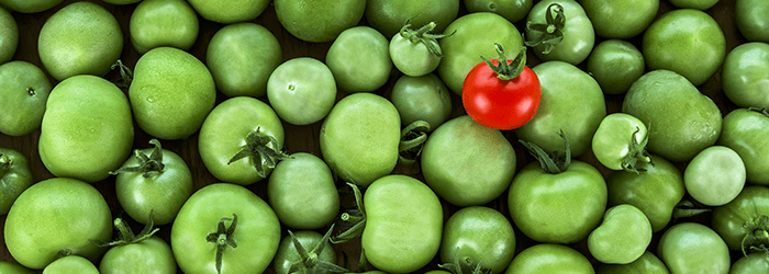 USP=他社には無い独自性