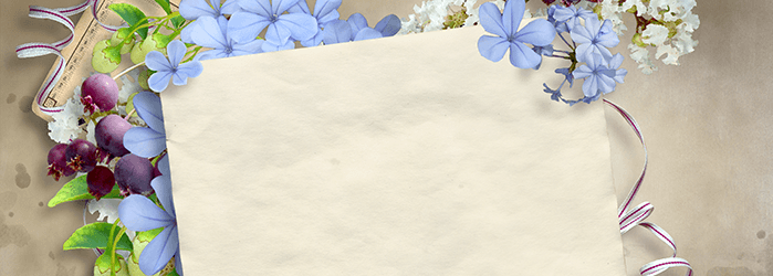 ウェルカムカード