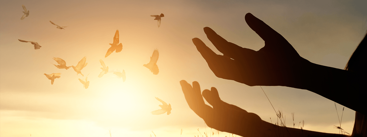 「お客さんの声」でアクセス者の不安を取り除く