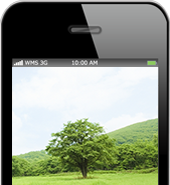 スマホでも高解像度のキレイな画像を表示
