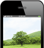 スマホでも高解像度のキレイな画像を表示