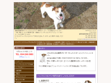 ブリーダー仔犬らんどピュア静岡