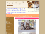 和田動物病院