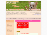 Dog&Cat BREEDER　ブリーダーエクセル