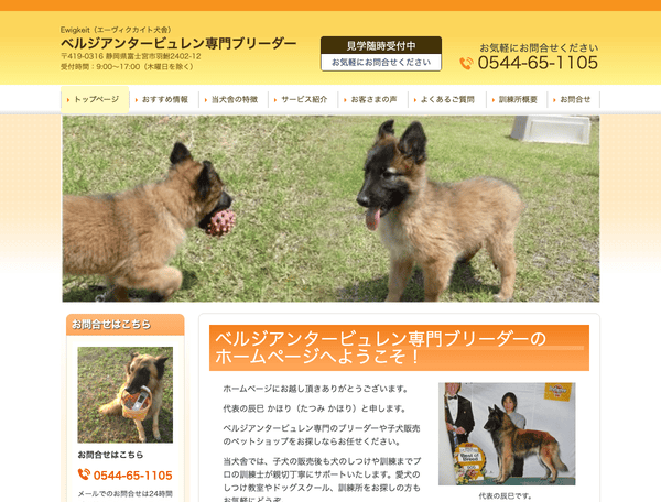 ベルジアンタービュレン専門ブリーダー