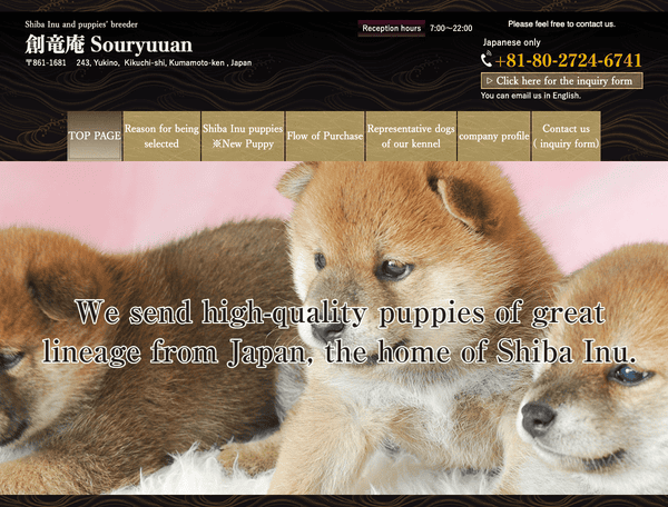 柴犬・子犬専門ブリーダー 創竜庵